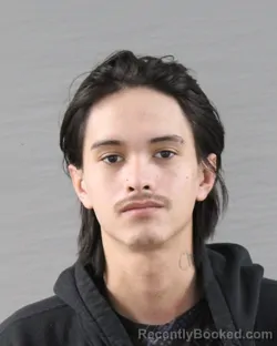 Mugshot of JOSE ARTEMIO LEYVA-MORISON