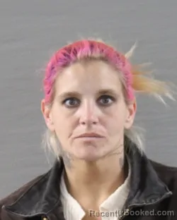 Mugshot of HEATHER NICOLE DAVIS