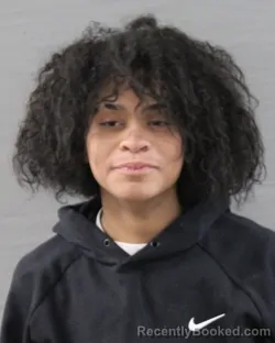 Mugshot of MELANIE LUCERO