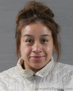 Mugshot of VANESSA ONTIVEROS