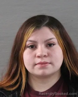 Mugshot of JULISSA YANIN PINA