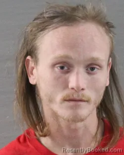 Mugshot of RYAN JAMES DOWNEY