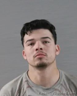 Mugshot of MAXIMINO ALANIZ