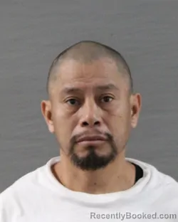 Mugshot of ISABEL JIMON-PEREZ