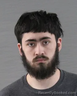 Mugshot of VALEN KAVIN-RAVON ROSS