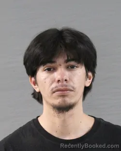 Mugshot of ASHTON JOHN MARTIN