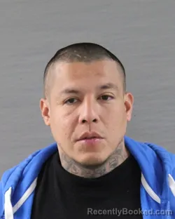 Mugshot of RICARDO FERNANDEZ