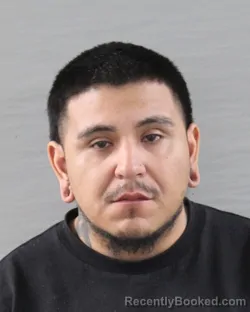 Mugshot of DAVID ALEJANDRO LUNA