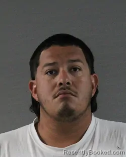 Mugshot of JORGE ROSALES