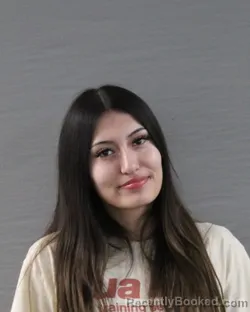 Booking photo from Randall County, Texas