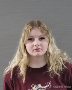 Mugshot of JOHNNA REANN GIBSON