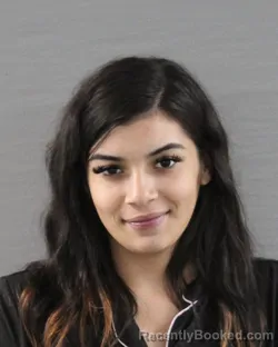 Mugshot of TIANA MARIE VILLEGAS booked in Randall County, Texas on July 13, 2026