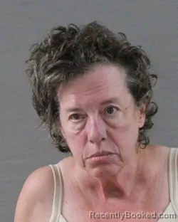 Mugshot of Paulynna Gay Harper booked in Randall County, Texas on August 12, 2026