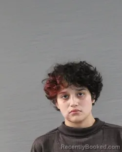Mugshot of Shylah Mungia booked in Randall County, Texas on August 11, 2026