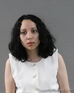 Mugshot of Kristina Maria Partida booked in Randall County, Texas on August 20, 2026