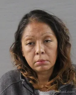 Mugshot of Deidra Renee Zepeda booked in Randall County, Texas on August 28, 2026