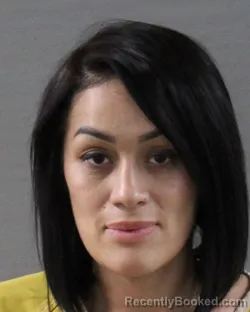 Mugshot of Danielle Marie Ortiz booked in Randall County, Texas on October 9, 2026