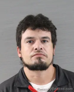 Mugshot of THOMAS JOHN SANCHEZ