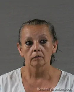Mugshot of SHARON DIANE SALTHOUSE booked in Randall County, Texas on July 2, 2026