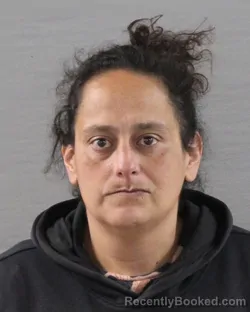 Mugshot of MICHELLE RENE CASTILLO booked in Randall County, Texas on May 6, 2026