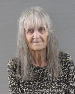 Mugshot of Olivia Mae Francis booked in Randall County, Texas on August 21, 2026