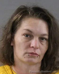 Mugshot of Didi Danielle Geopfert booked in Randall County, Texas on September 29, 2026