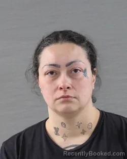 Mugshot of ALEXIS RENEE TORRES