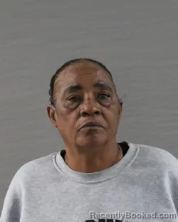 Mugshot of BRENDA LEE RYAN