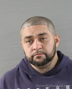 Mugshot of RICARDO FERNANDEZ