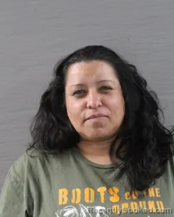 Mugshot of VALERIE REYES