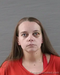 Mugshot of TRISH ANN STONE