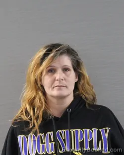 Mugshot of DANA RENEE SIDES