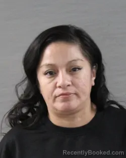 Mugshot of CRYSTAL ELAINE NAVARRETE