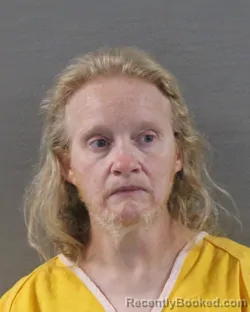 Mugshot of SHEILA RENEE JOHNSON booked in Randall County, Texas on June 24, 2026