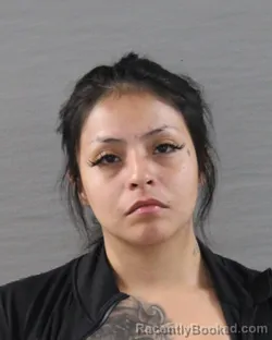 Mugshot of ANAHI ESMERALDA GUARDADO- DIAZ