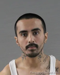 Mugshot of Joel Reyes booked in Randall County, Texas on August 9, 2026