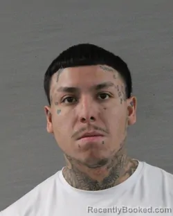 Mugshot of RAMIRO GARCIA