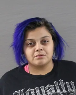 Mugshot of Briana Monique Mendoza booked in Randall County, Texas on August 14, 2026