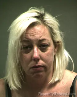 Mugshot of ALICEA MICHELLE FERGUSON booked in Randall County, Texas on April 20, 2026