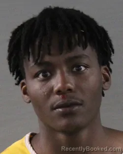 Mugshot of ALEX MINARI KRAGH