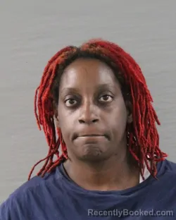 Mugshot of JANESSA DENICE HOWARD