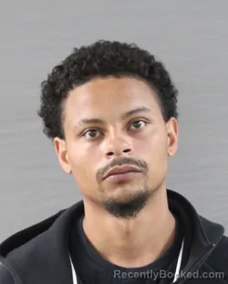 Mugshot of BRENDON DEWAYNE RYAN