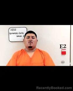 Mugshot of CARLOS AMADO HERNANDEZ