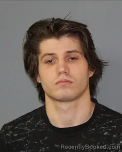 Mugshot of MICHAEL DANIEL BURNS
