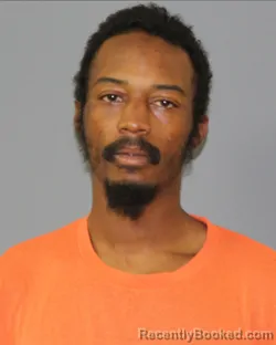 Mugshot of DANDRE AHMAD HAYES