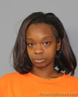 Mugshot of JANAE LAVOLL