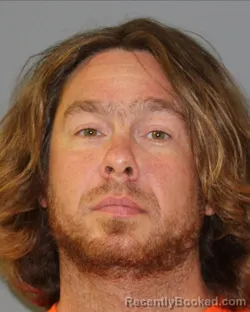 Mugshot of DAVID MICHEAL DOLLINS