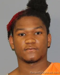 Mugshot of LENDELL LLOYD RANDLESTON