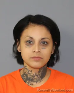 Mugshot of LETICIA HALAIDA RODRIGUEZ