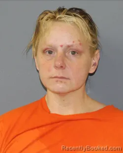 Mugshot of STEVIE JESSICA WILLIAMS